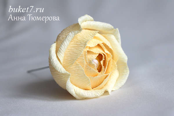 Английская роза фото 17