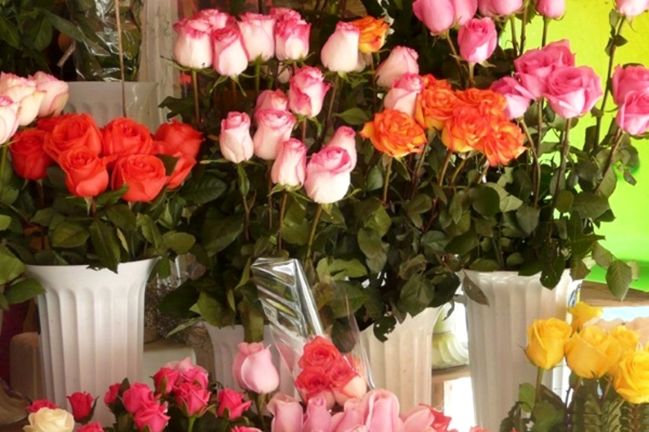 Как вырастить розу из букета в домашних условиях – способы укоренения