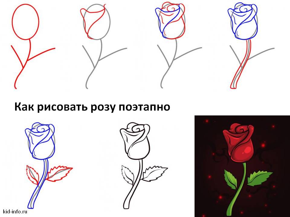 Как рисовать розу поэтапно