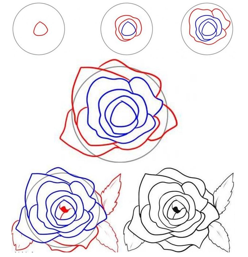 Рисование бутона розы сверху