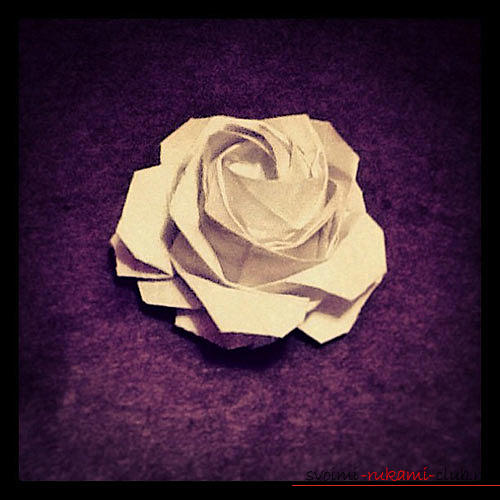 Оригами - роза из бумаги. Фото №1