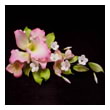 Букет “Розовая Орхидея с Лютиками” 