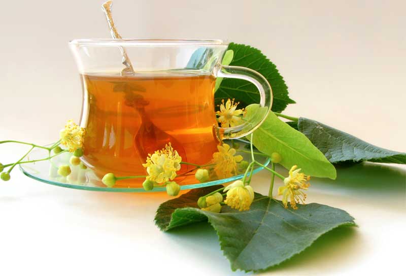 Травы и цветы, которые можно заваривать в чай