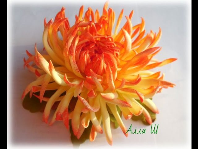 цветы хризантемы из фоамирана мастер класс