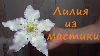 Лилия из мастики (Цветы из сахарной мастики)