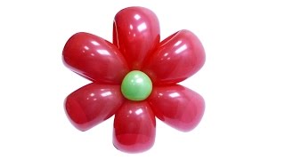 Изготовление цветка ромашки из воздушных шаров - инструкция