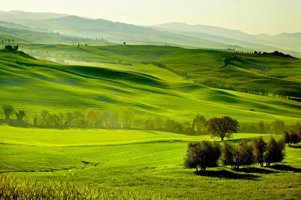Сельской местности, Сан Квирико Орчия, Тоскана, Италия — стоковое фото