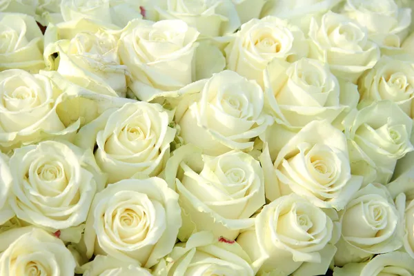 Группа белых роз, Свадебные украшения Стоковая Картинка