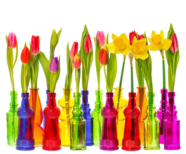 Многие тюльпанов и нарциссов цветы в красочные вазы — стоковое фото