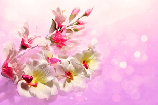 Букет из сладких цветов на фоне мягкого Сирень — стоковое фото
