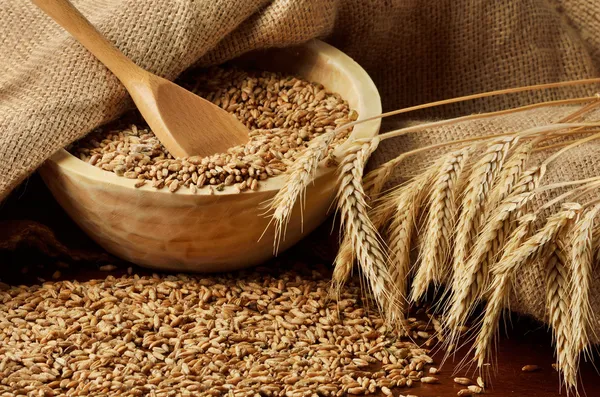 Зерна и колосья пшеницы — стоковое фото