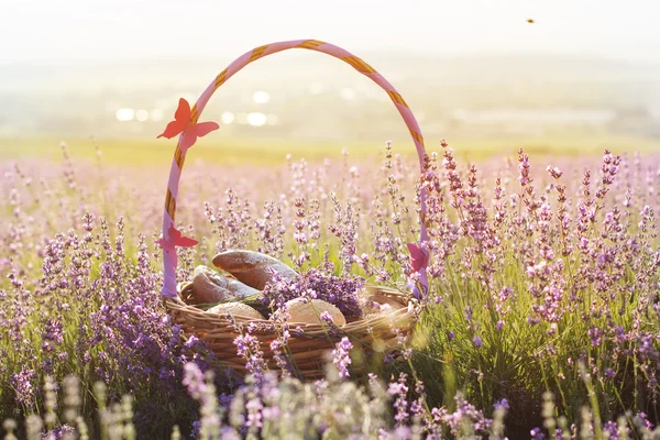 Корзина с сладкий вещи в фиолетовый лаванды цветы — стоковое фото