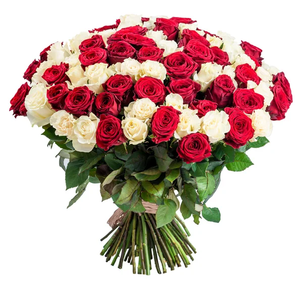 101 красный белый букет роз, изолированные на белом фоне Стоковое Изображение
