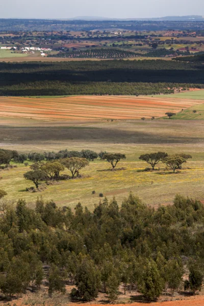 Типичный пейзаж местности Алентежу — стоковое фото