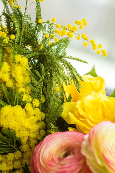 Цветы желтой мимозы — стоковое фото