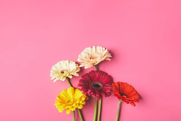 Вид Сверху Кучу Красивых Цветов Герберы Розовый Концепции День Матери Стоковое Изображение