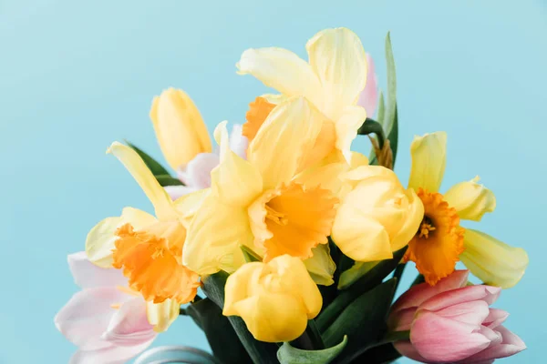 Крупным Планом Зрения Красивые Тюльпаны Нарциссы Изолированные Синий — стоковое фото