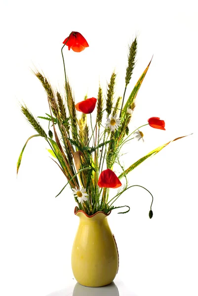 Букет полевых цветов мака — стоковое фото