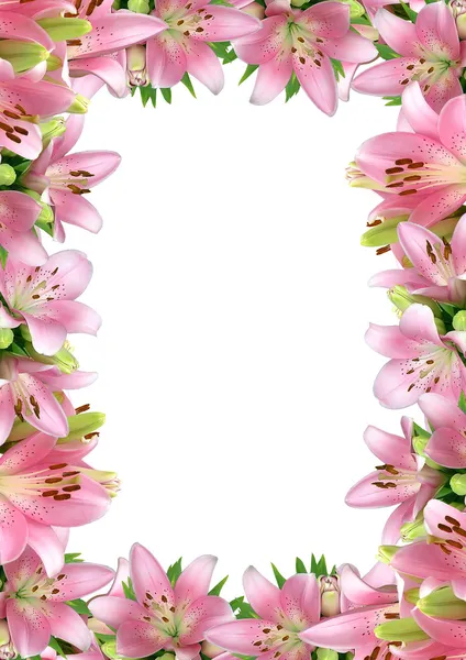 Структура розовых лилий Лицензионные Стоковые Фото