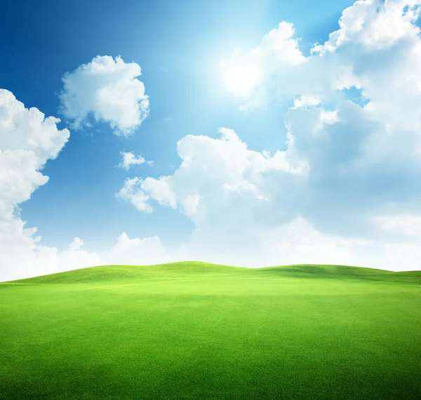 Поле травы и прекрасное небо — стоковое фото