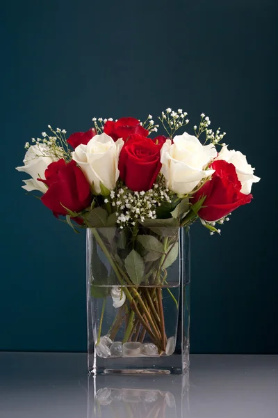 Красные и белые розы в вазе — стоковое фото