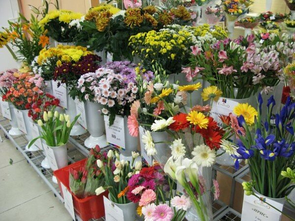 Цветы в магазине