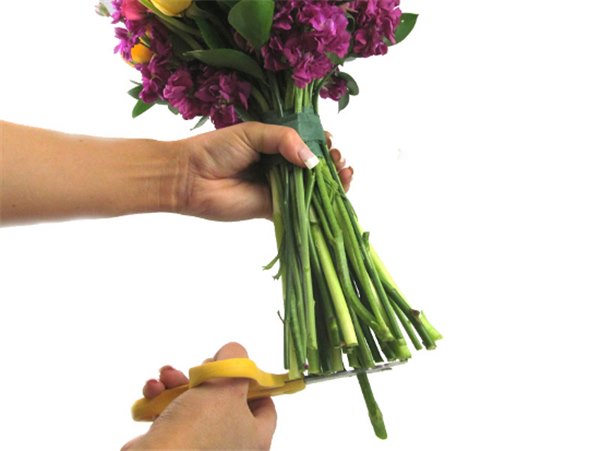 Свадебный букет своими руками (фото): как собрать живые цветы или комбинировать, как вставить в самодельный свадебный букет зелень