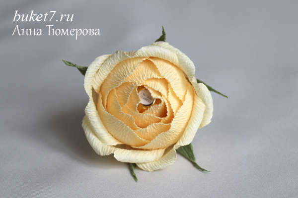 Английская роза фото 21