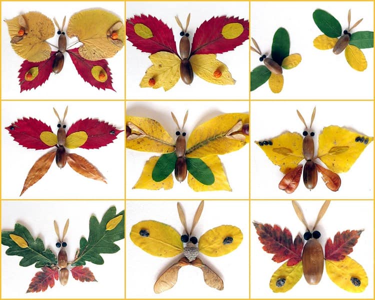 Поделки с детьми из осенних даров природы: стрекозы и бабочки