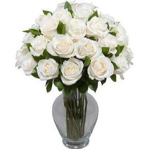 белые розы в вазе