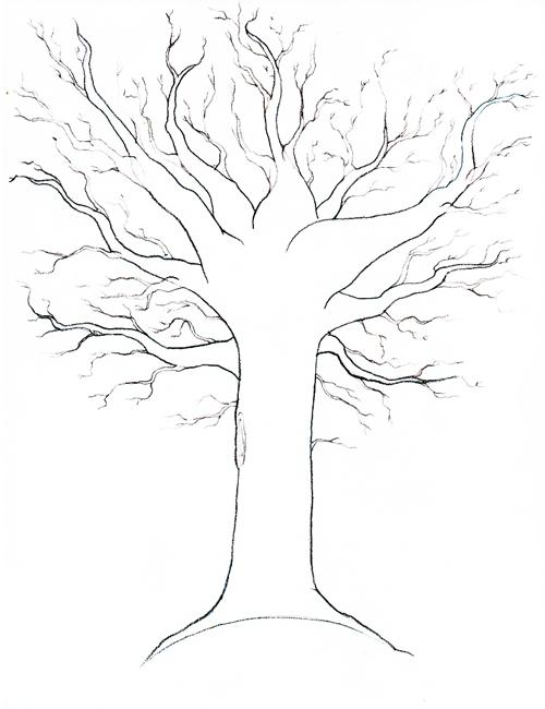 как нарисовать ветку дерева