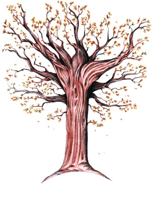 как нарисовать дерево осеннее