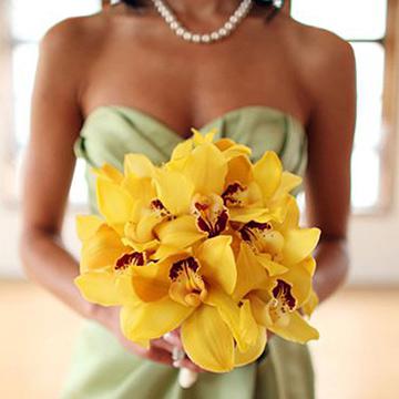 Желтая орхидея: фото.