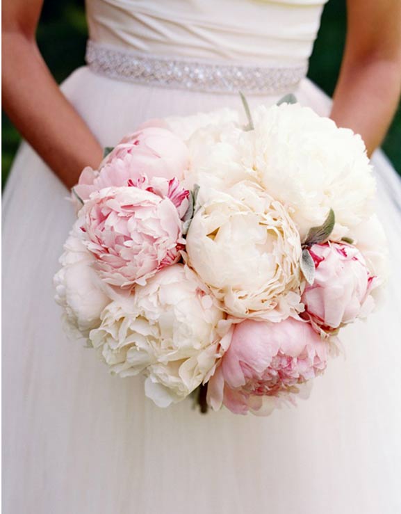 Нежные кремовые и розовые пионы в свадебном букете