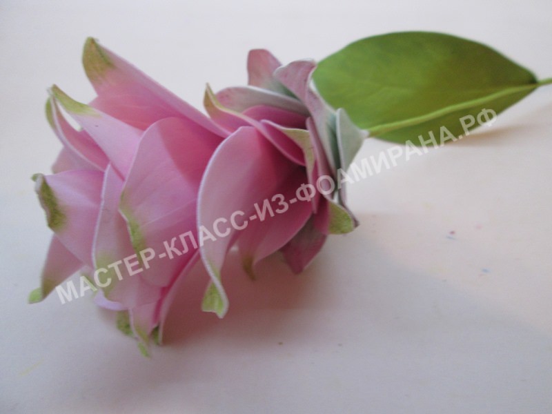 мастер-класс цветок куркума из зефирного фоамирана