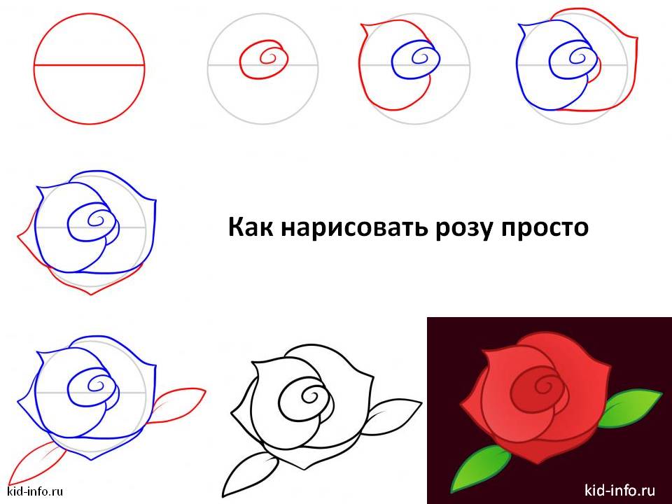 Как нарисовать розу просто