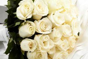 Какое значение имеют белые розы