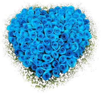 букет голубых роз