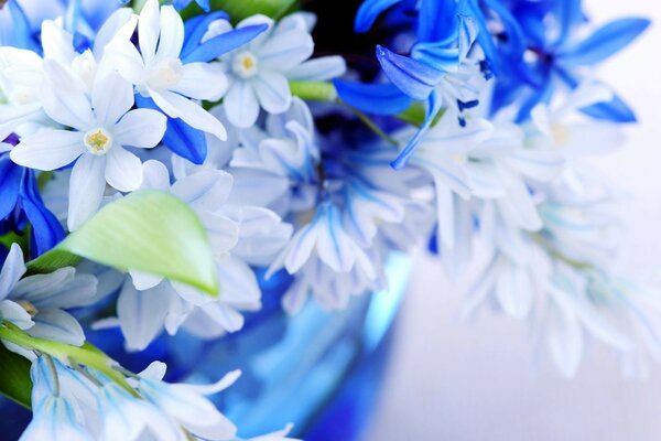 букет нежно голубой цвет Цветы синий листки