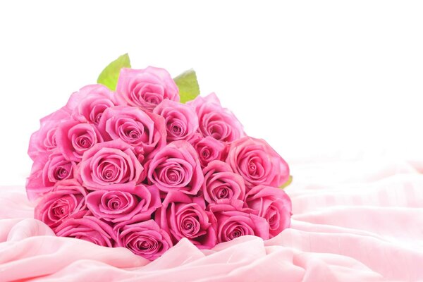 розы Цветы розовые розы букет розовые цветы