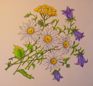 как нарисовать цветы