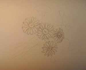 цветы нарисованные карандашом