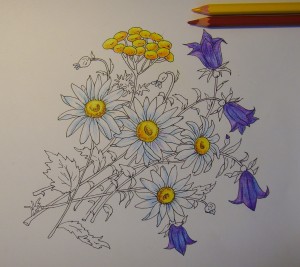 как нарисовать цветы поэтапно