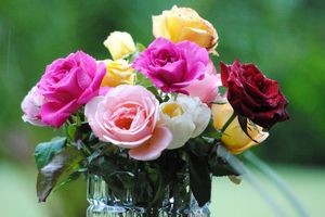 Как сохранить розы в вазе 