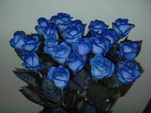Синие розы в букете