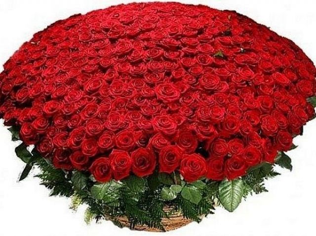 Самый большой букет цветов содержал 13 777 роз.