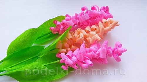 цветы гиацинты из гофробумаги 10