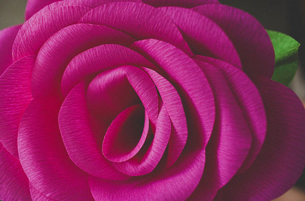 Розы из гофробумаги — устрой тематическую вечеринку!
