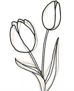 как красиво нарисовать тюльпан
