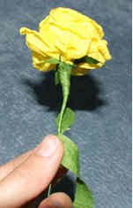 roza iz gofrirovannoi bumagi 13 Розы из гофрированной бумаги своими руками 